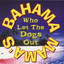Who Let The Dogs Out cover