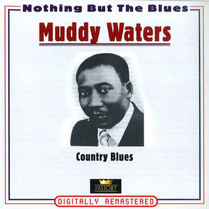 Country Blues album
