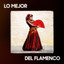 Lo Mejor del Flamenco cover
