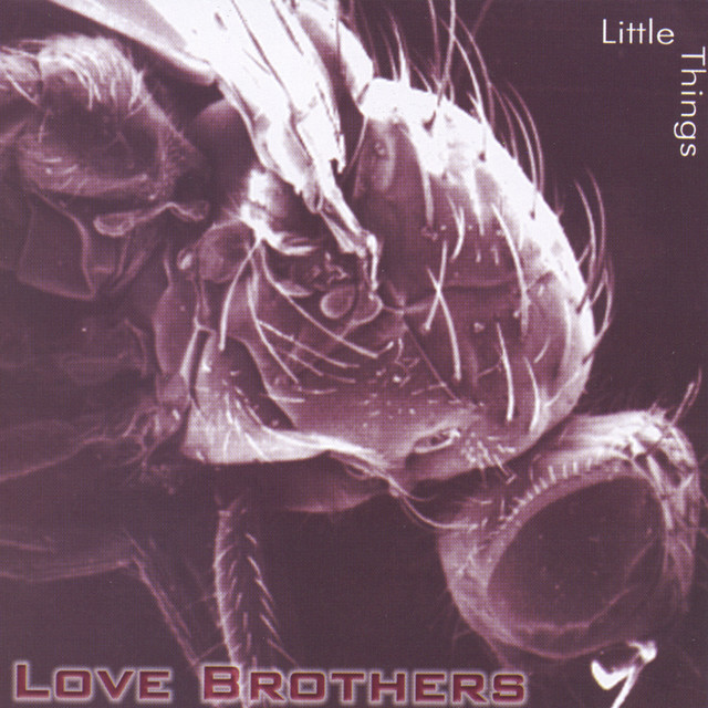 Love Brothers Photo