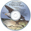 Eagles & Kiwi's Albumcover