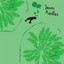 Danse Manatee cover