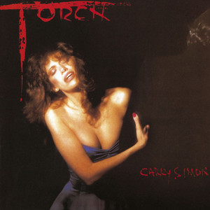 Torch cover