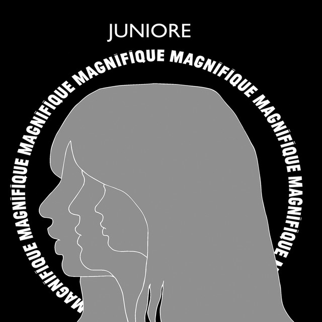 Magnifique cover