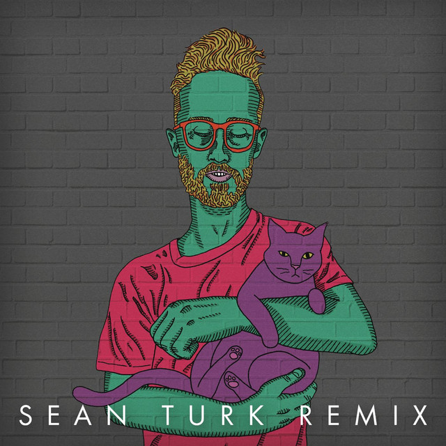 Sleeping in (Sean Turk Remix) [feat. Sean Turk]