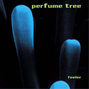 Feeler cover