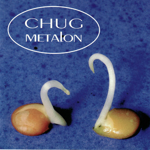 Metalon cover