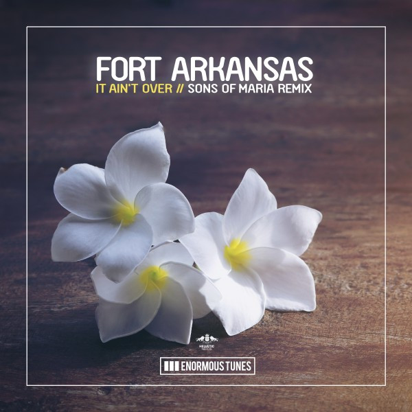Fort Arkansas Photo