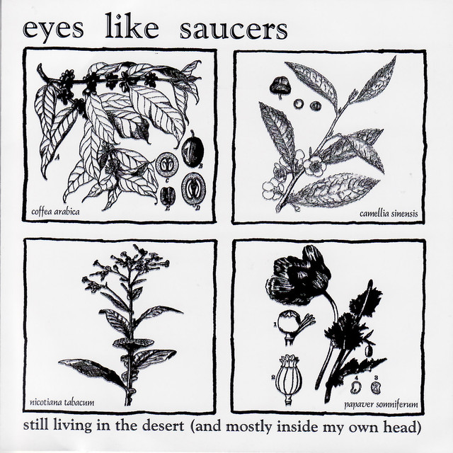 Eyes Like Saucers Photo