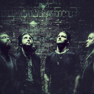 NeverWake Photo