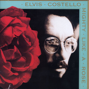 Mighty Like a Rose album