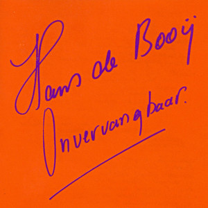 Onvervangbaar cover