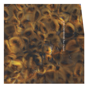 Sun Chapter Albumcover