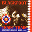 Train Train: Southern Rock's Best - Live cover