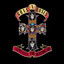 Appetite for Destruction cover