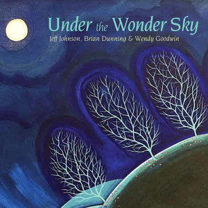 Under the Wonder Sky album