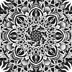 Aegri Somnia cover