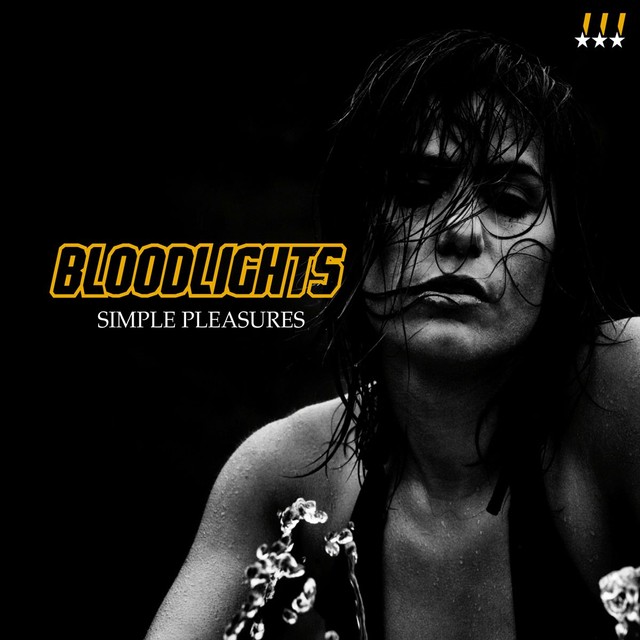 Simple Pleasures cover