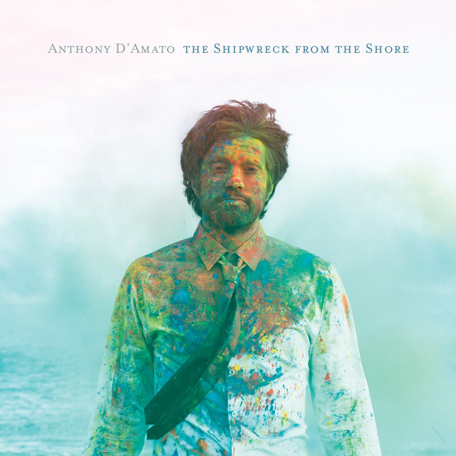 The Shipwreck From The Shore cover