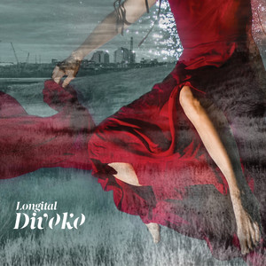 Divoko cover