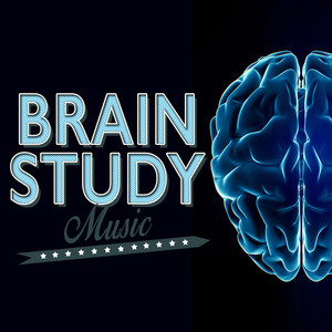 Brain Study Music album