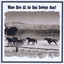 Where Have All the Real Cowboys Gone? Albumcover