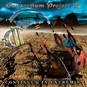 Consortium Project II