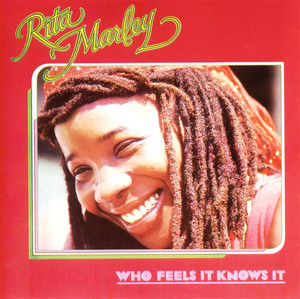 Who Feels It Knows It album