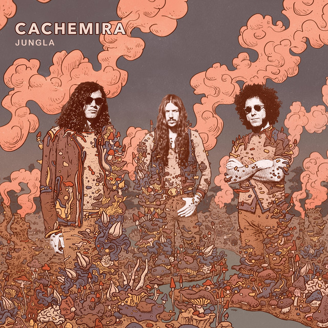 Cachemira photo