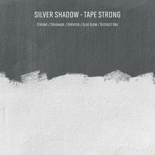 Silver Shadow Photo