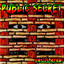 Public Secret Albumcover