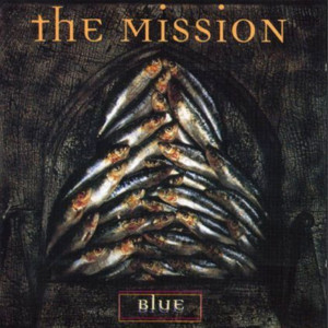 Blue cover