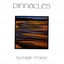 Pinnacles Albumcover