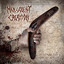Australian Onslaught cover