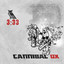 The Cold Vein (Remixed by 3: 33) cover