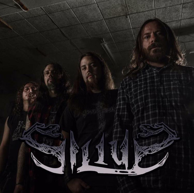 Silius photo