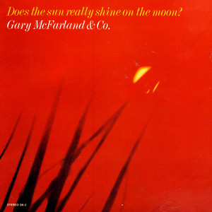 Does the Sun Really Shine on the Moon? cover