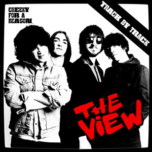 Cheeky for a Reason - Track By Track album