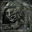 Divided Soul cover