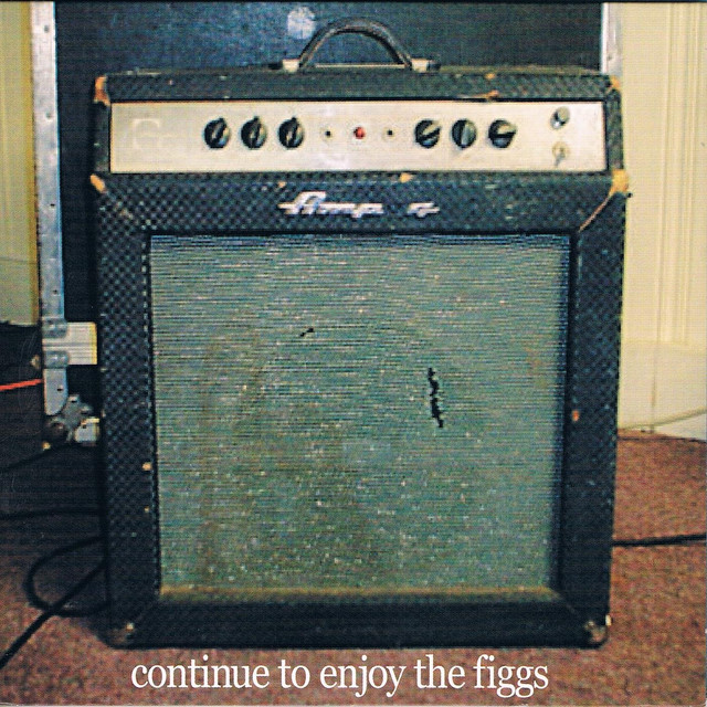 Continue To Enjoy The Figgs cover