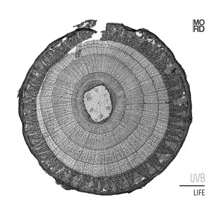 Into the Body cover