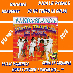 Fiesta Tropical de Punta album