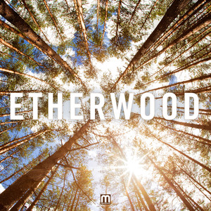Etherwood album