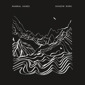 Shadow Work album