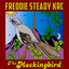 The Mockingbird Albumcover