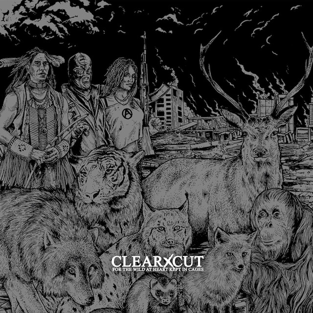 CLEARxCUT Photo