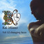 Vol. 12: Changing Faces Albumcover