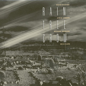 Rain Tree Crow album