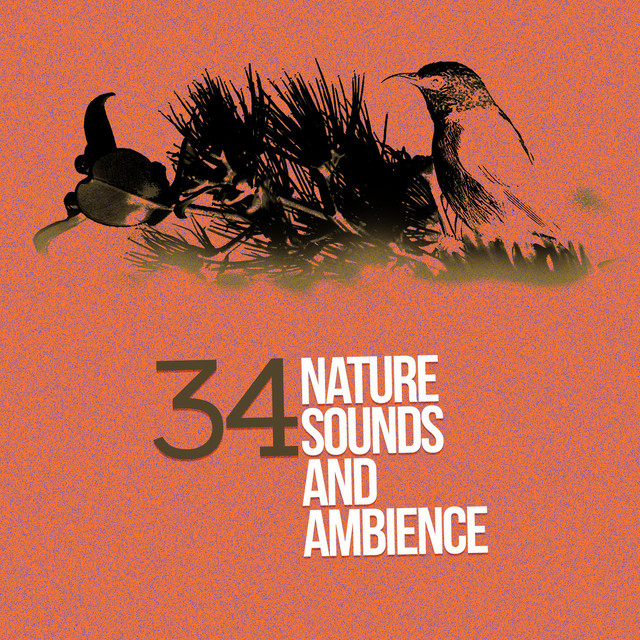 34 Nature Sounds and Ambience