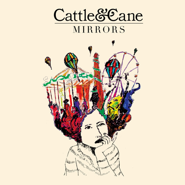 Mirrors cover